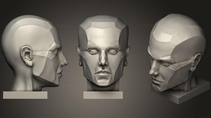 Anatomy of skeletons and skulls (Face Anatomy, ANTM_0416) 3D models for cnc